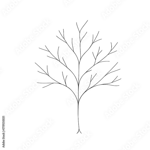 “Minimalist Bare Tree Line Art – Simple Winter Branch Outline Vector”