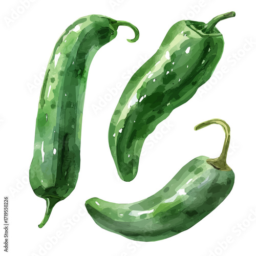 My Watercolor illustration, illustration green pepper painting isolated on a white background, illustration, AI painting design, vector set, eps format design