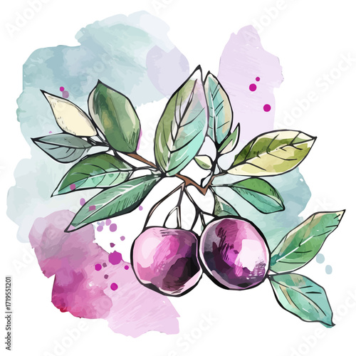 Vector illustration, My Watercolor, hand-painted, simple, flat sliced cranberry painting illustration isolated on a white background, EPS format design. vector illustration, 2D design	