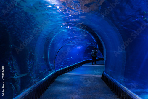 Glass tunnel in an aquarium, underwater pathway