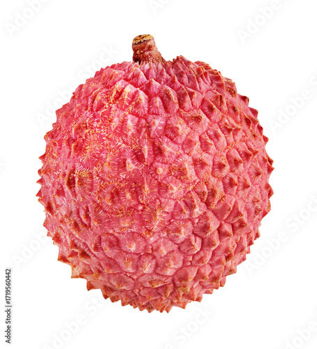 Fresh single lychee fruit isolated on white background copy