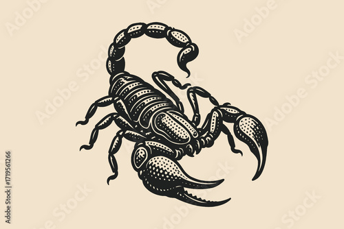 Scorpion engraving style black and white sketch vector illustration