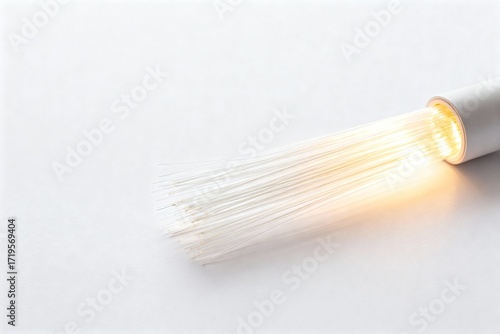 Fiber Optic Lamp Isolated on White Background – Modern Decorative Lighting for Ambiance and Style

