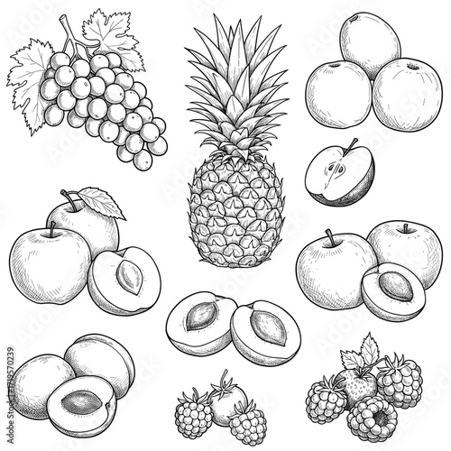 Hand-Drawn Fruit Collection: Apples, Plums, Pineapple, Grapes, and Raspberries