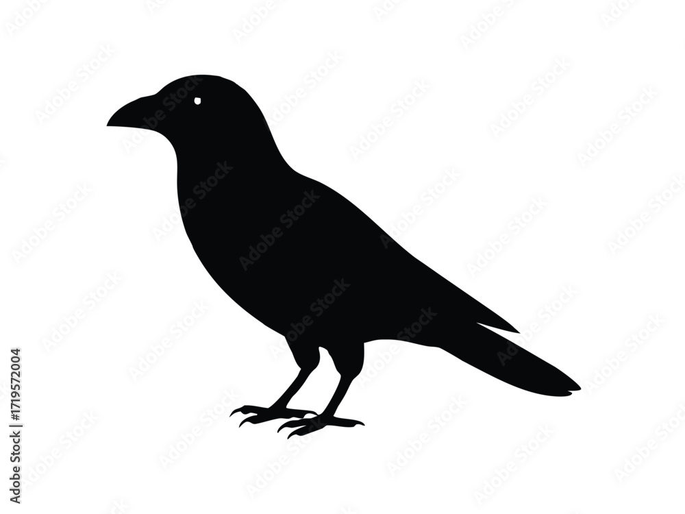 Fototapeta premium crow silhouette icon design on white background