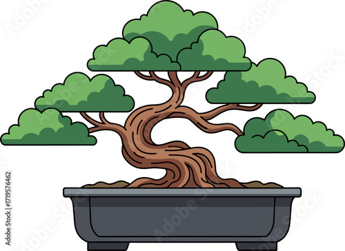 Stylized illustration of a mature, artfully pruned bonsai tree in a dark pot, symbolizing patience and nature's beauty.