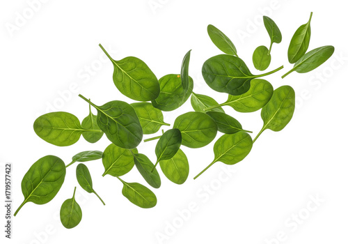 Fresh Baby Spinach Leaves Floating - Vibrant Green Vegetables Scattered on White Background