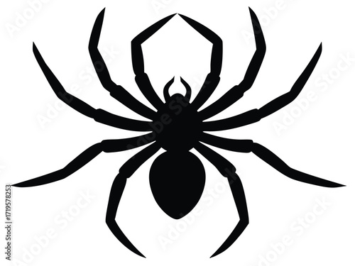 spider silhouette icon design on white background
