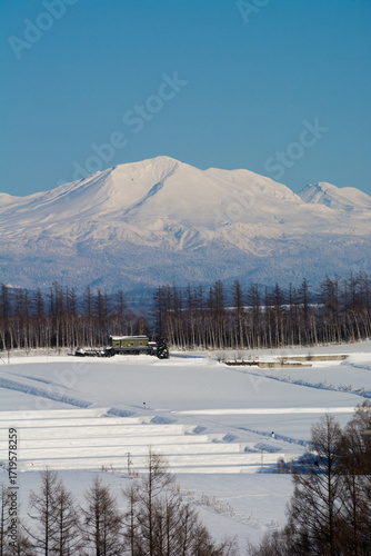 雪の畑作地帯と大雪山