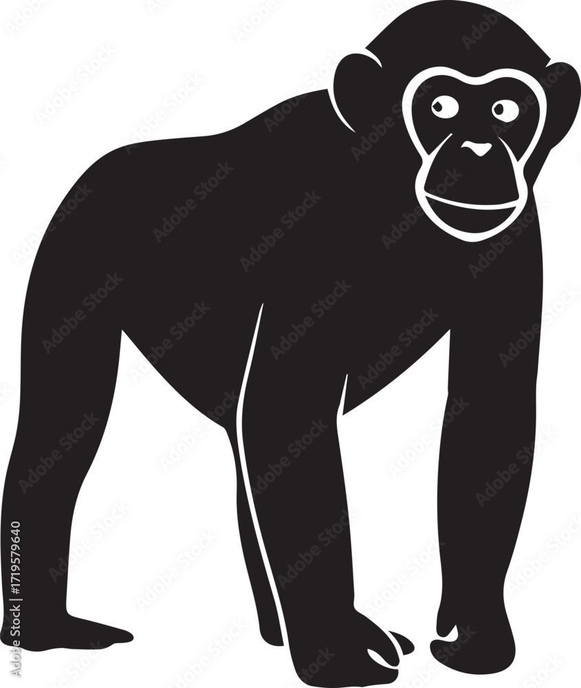 Fototapeta premium Chimpanzee black and white silhouette vector illustration