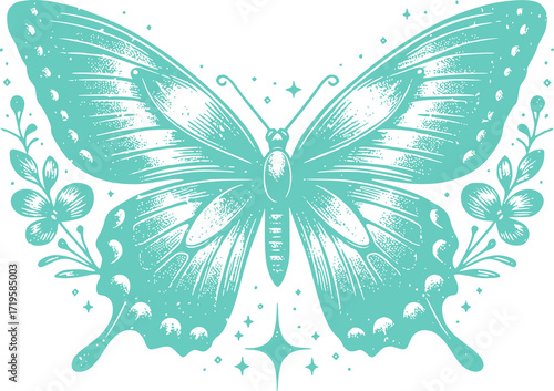 blue butterfly  illustration