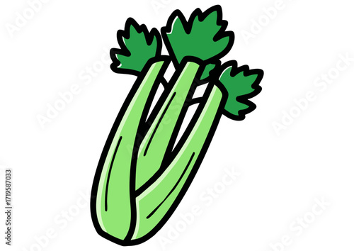 Illustration of fresh green leek with white bulb on a white background