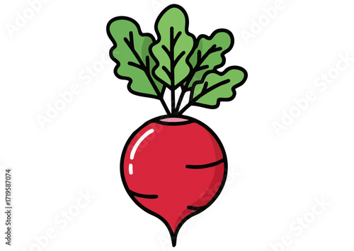 Illustration of a purple radish with green leaves on a white background