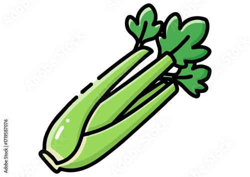 Illustration of fresh green leek with white bulb on a white background