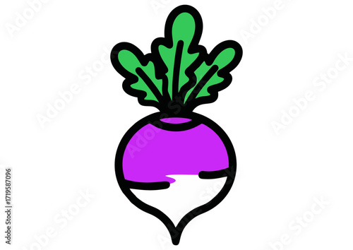 Illustration of a purple radish with green leaves on a white background