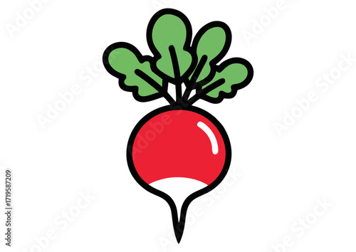Illustration of a purple radish with green leaves on a white background