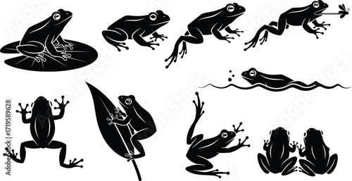 Frog silhouettes, showcasing amphibian in various poses and activities