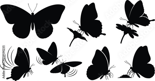 Butterfly silhouettes, showcasing various poses and activities of these insects
