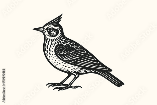 Lark bird engraving style black and white sketch vector illustration