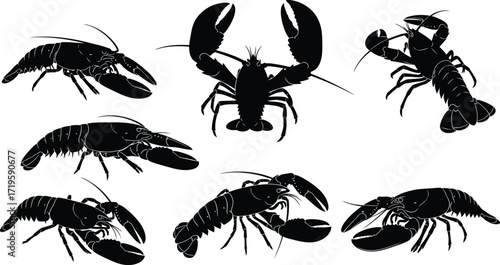 Lobster silhouettes in various poses and actions in black and white