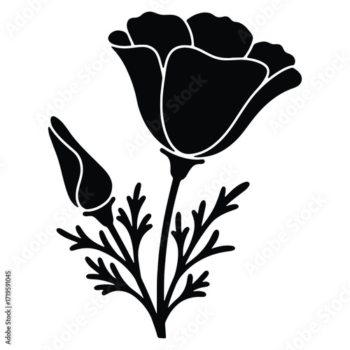 Elegant California Poppy Flower Silhouette with Bud and Leaves Illustration