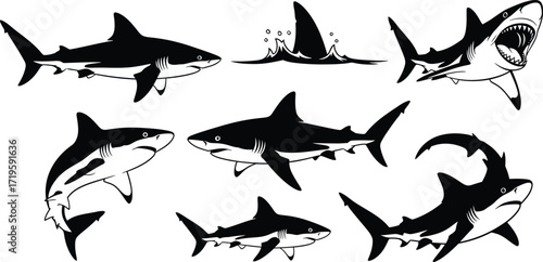 Shark silhouettes, showcasing various shark species and poses