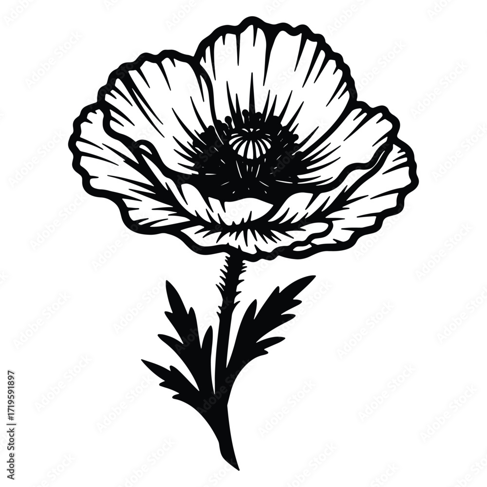 Obraz premium Elegant Poppy Flower Vector Illustration in Black and White Style