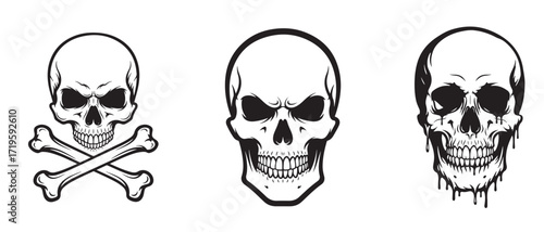 Three stylized illustrations of human skulls, varying in design and detail, depicted in black and white.