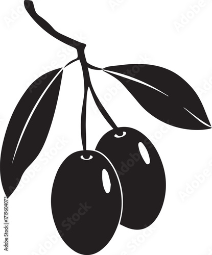 Black olives on a branch with leaves silhouette vector, black and white silhouette vector illustration