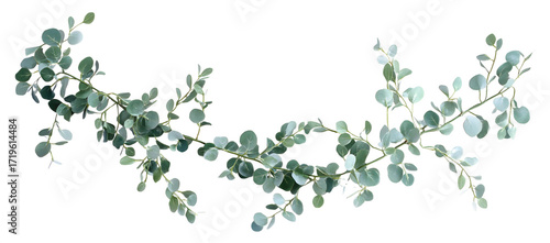 Wallpaper Mural Eucalyptus branch watercolor illustration, botanical hand painted green leaves, elegant nature inspired foliage for decorative design, card or invitation

 Torontodigital.ca