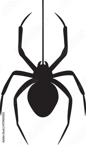 Black spider hanging on thread arachnid silhouette vector, black and white silhouette vector illustration
