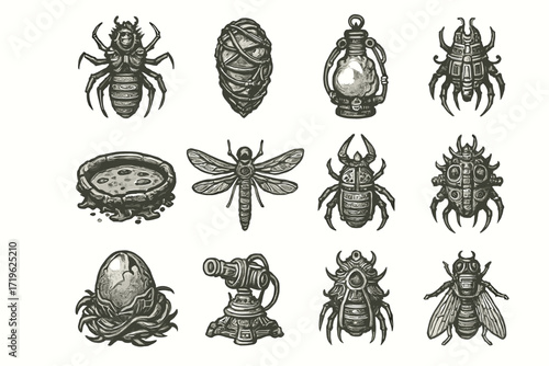 Vintage insect illustrations: beetles, moth, dragonfly, lantern, cocoon, egg