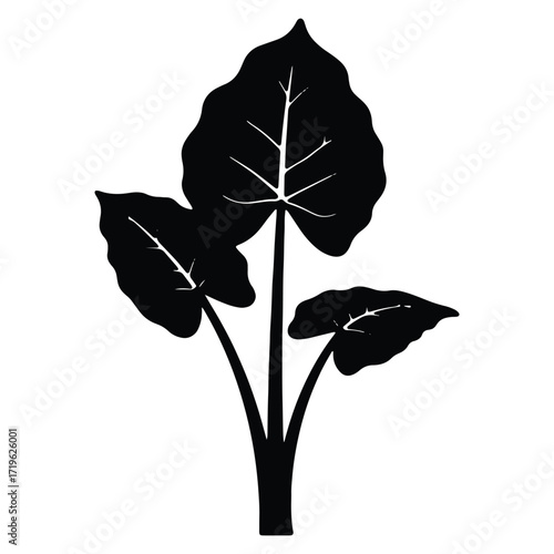 Minimalist Black and White Tropical Plant Illustration with Large Leaves