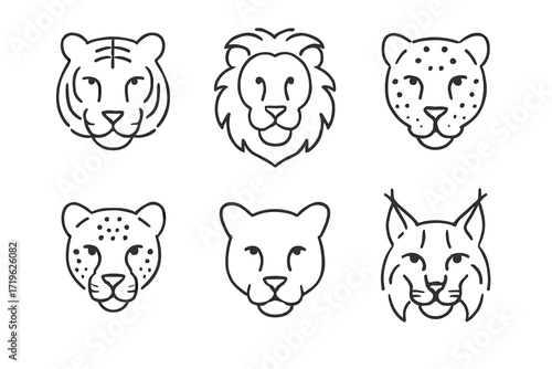 Minimalist wild cat illustrations featuring tiger, lion, leopard, and lynx faces