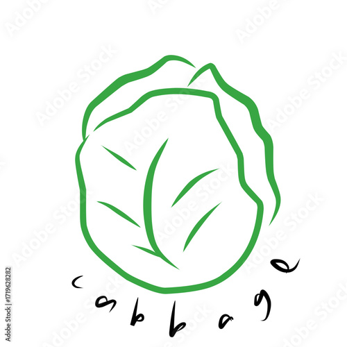cabbage leaf icon