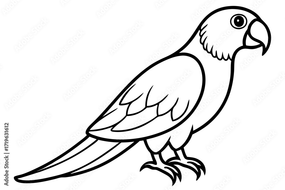 Obraz premium Scalable line art vector illustration of a detailed parrot bird for graphic design projects