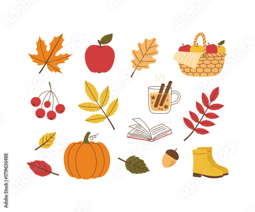 Autumnal seasonal elements of plants, vegetable and fruit with colorful leaves. Fall flat graphic design for seasonal greeting harvest festival. Vector illustration