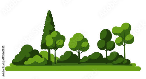 Lush green trees and shrubs form a vibrant, natural landscape.