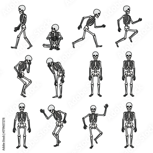 Cartoon Skeletons in Various Poses Walking Sitting Running and Standing.