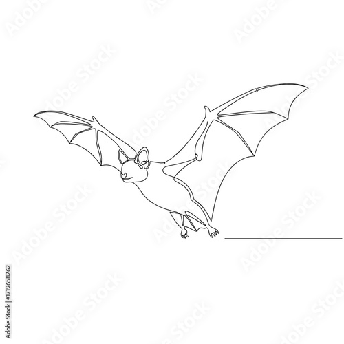 Minimal single-line bat in flight, black on white, spooky or nocturnal motif for editorial or seasonal banners