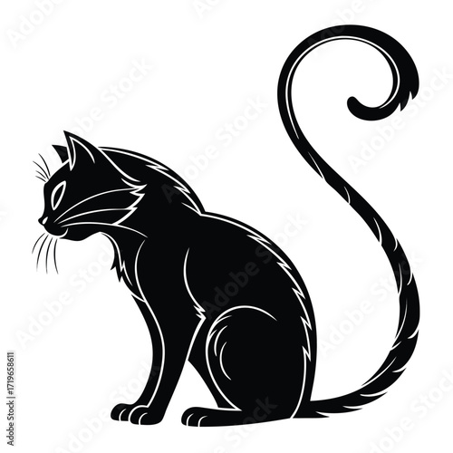 Black cat with curled tail silhouette feline animal