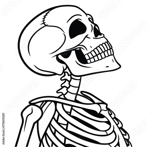 Black and White Illustration of a Human Skeleton Head and Torso