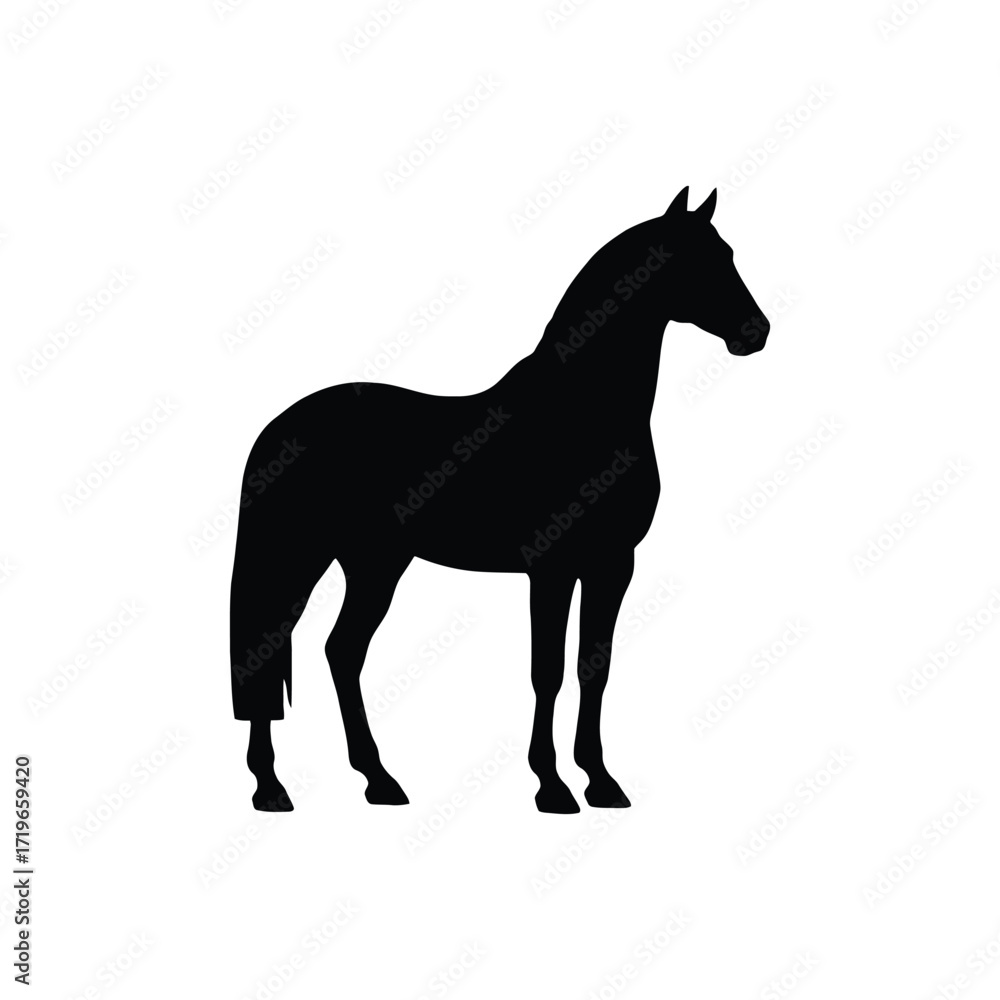 Fototapeta premium Silhouette of a majestic horse standing alert