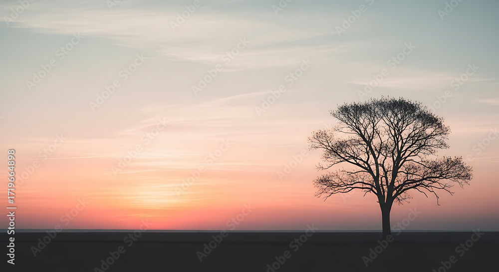 Fototapeta premium Solitary tree silhouetted against a soft orange and pink sunset sky in a peaceful landscape