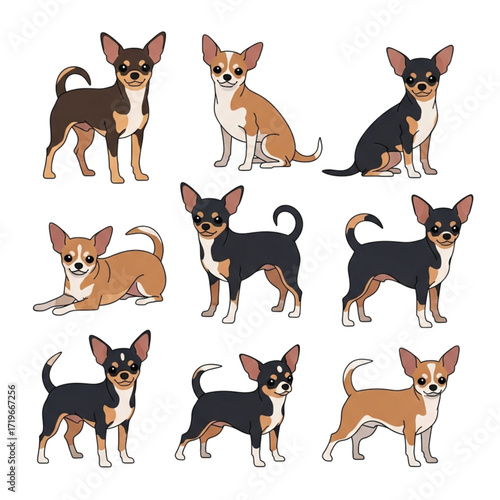 Cartoon Chihuahua Dogs Brown Tan and Black Coat Variations Standing and Sitting.