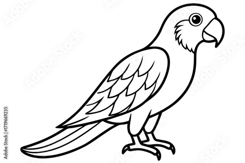 vector illustration of a parrot