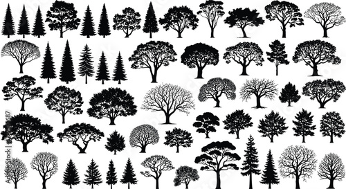 A collection of diverse tree silhouettes showcasing various species and forms.