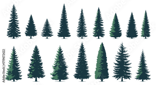 A collection of various evergreen trees in different shapes and sizes.