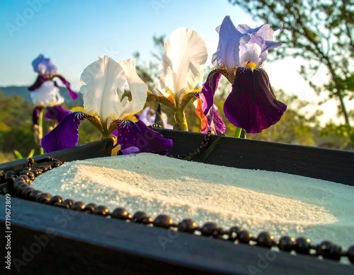 Irises in a sand tray, outdoor setting