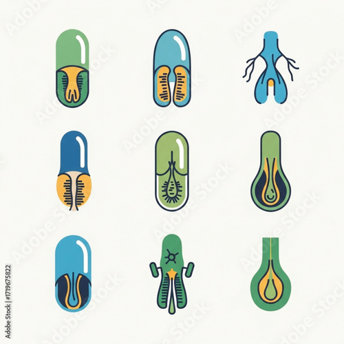 Stylized Seed Germination Stages in Green Blue and Yellow Tones.